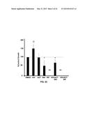 Methionine Aminopeptidase Inhibitors for Treating Infectious Diseases diagram and image