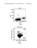 Methionine Aminopeptidase Inhibitors for Treating Infectious Diseases diagram and image