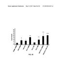 Methionine Aminopeptidase Inhibitors for Treating Infectious Diseases diagram and image