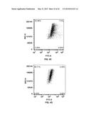 Methionine Aminopeptidase Inhibitors for Treating Infectious Diseases diagram and image