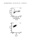 Methionine Aminopeptidase Inhibitors for Treating Infectious Diseases diagram and image