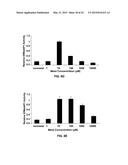 Methionine Aminopeptidase Inhibitors for Treating Infectious Diseases diagram and image