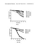 Methionine Aminopeptidase Inhibitors for Treating Infectious Diseases diagram and image