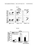 METHODS FOR DELAYING OR PREVENTING THE ONSET OF TYPE 1 DIABETES diagram and image