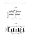 METHODS FOR DELAYING OR PREVENTING THE ONSET OF TYPE 1 DIABETES diagram and image