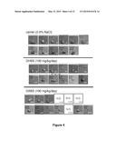 Use Of 2,5-Dihydroxybenzene Compounds And Derivatives For The Treatment Of     Rosacea diagram and image