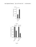 PROGNOSIS AND TREATMENT OF LUNG CANCER USING miRNA-135b diagram and image