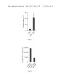 PROGNOSIS AND TREATMENT OF LUNG CANCER USING miRNA-135b diagram and image