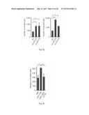 PROGNOSIS AND TREATMENT OF LUNG CANCER USING miRNA-135b diagram and image