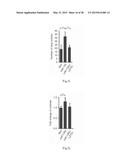 PROGNOSIS AND TREATMENT OF LUNG CANCER USING miRNA-135b diagram and image