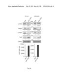 PROGNOSIS AND TREATMENT OF LUNG CANCER USING miRNA-135b diagram and image