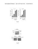 PROGNOSIS AND TREATMENT OF LUNG CANCER USING miRNA-135b diagram and image