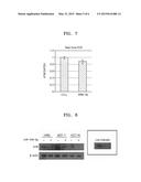 COMPOSITION COMPRISING miRNA FOR ENHANCING RADIATION SENSITIVITY diagram and image