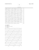 OLIGORIBONUCLEOTIDES AND METHODS OF USE THEREOF FOR TREATMENT OF ALOPECIA,     ACUTE RENAL FAILURE AND OTHER DISEASES diagram and image