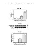 MELANOMA CHEMOPREVENTION diagram and image