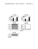 MELANOMA CHEMOPREVENTION diagram and image