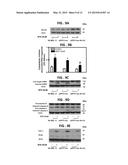 MELANOMA CHEMOPREVENTION diagram and image