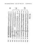 FLT4 (VEGFR-3) AS A TARGET FOR TUMOR IMAGING AND ANTI-TUMOR THERAPY diagram and image