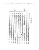 FLT4 (VEGFR-3) AS A TARGET FOR TUMOR IMAGING AND ANTI-TUMOR THERAPY diagram and image