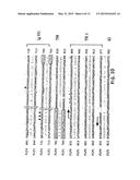 FLT4 (VEGFR-3) AS A TARGET FOR TUMOR IMAGING AND ANTI-TUMOR THERAPY diagram and image