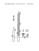 FLT4 (VEGFR-3) AS A TARGET FOR TUMOR IMAGING AND ANTI-TUMOR THERAPY diagram and image