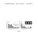 HIGH-RESOLUTION METABOLIC NEUROIMAGING diagram and image