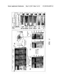 EFFICIENT MODULATED IMAGING diagram and image