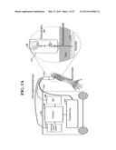 SYSTEM AND METHOD USEFUL FOR SARCOMERE IMAGING VIA OBJECTIVE-BASED     MICROSCOPY diagram and image