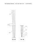 SYSTEM AND METHOD USEFUL FOR SARCOMERE IMAGING VIA OBJECTIVE-BASED     MICROSCOPY diagram and image