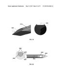 SYSTEM AND METHOD USEFUL FOR SARCOMERE IMAGING VIA OBJECTIVE-BASED     MICROSCOPY diagram and image