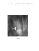 SYSTEM AND METHOD USEFUL FOR SARCOMERE IMAGING VIA OBJECTIVE-BASED     MICROSCOPY diagram and image