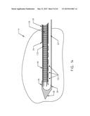 BIOPSY DEVICE WITH TRANSLATING VALVE MEMBER diagram and image