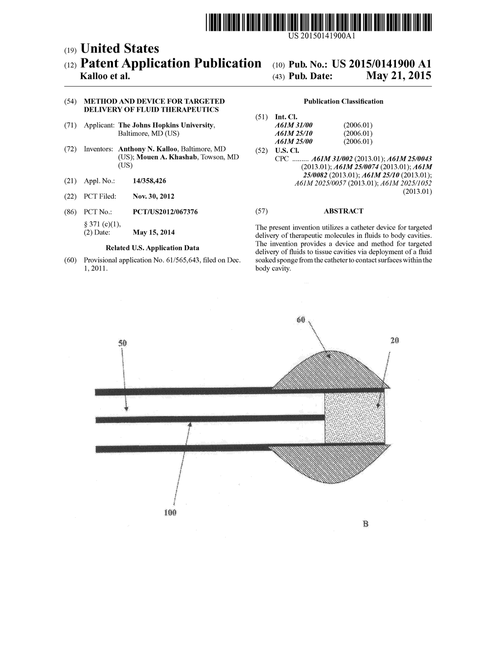 Method and Device for Targeted Delivery of Fluid Therapeutics - diagram, schematic, and image 01