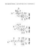 SYSTEMS AND METHODS FOR POSITIONING AN ELONGATE MEMBER INSIDE A BODY diagram and image