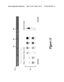 METHOD AND SYSTEM FOR SEARCH REFINEMENT diagram and image