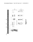 METHOD AND SYSTEM FOR SEARCH REFINEMENT diagram and image