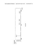 MULTIPLE SOLID PHASE MICRO-EXTRACTION THERMAL DESORPTION IONIZATION     DEVICE, MASS SPECTROMETER AND ANALYTICAL METHOD FOR MASS SPECTROMETRY diagram and image