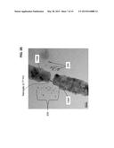 MANUFACTURABLE SUB-3 NANOMETER PALLADIUM GAP DEVICES FOR FIXED ELECTRODE     TUNNELING RECOGNITION diagram and image