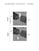 MANUFACTURABLE SUB-3 NANOMETER PALLADIUM GAP DEVICES FOR FIXED ELECTRODE     TUNNELING RECOGNITION diagram and image