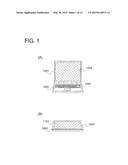 DISPLAY DEVICE diagram and image