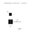 CAPACITIVE SENSOR WITH DIFFERENTIAL SHIELD diagram and image