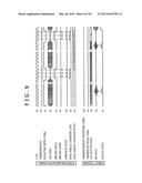 POSITION DETECTOR AND POSITION INDICATOR diagram and image