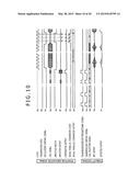 POSITION DETECTOR AND POSITION INDICATOR diagram and image