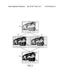 CONNECTED COMPONENT ANALYSIS WITH MULTI-THRESHOLDING TO SEGMENT HALFTONES diagram and image