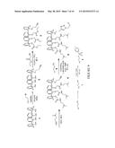 RADIOLABELED ANALOG(S) OF COMPOUND 0118 AND USE THEREOF IN CONNECTION WITH     PET AND/OR SPECT IMAGING TO DETERMINE WHETHER A PHARMACEUTICAL CONTAINING     COMPOUND 0118 IS A CANDIDATE CANCER TREATMENT FOR A PATIENT diagram and image