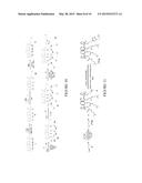 RADIOLABELED ANALOG(S) OF COMPOUND 0118 AND USE THEREOF IN CONNECTION WITH     PET AND/OR SPECT IMAGING TO DETERMINE WHETHER A PHARMACEUTICAL CONTAINING     COMPOUND 0118 IS A CANDIDATE CANCER TREATMENT FOR A PATIENT diagram and image