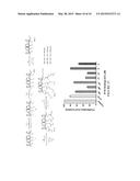 RADIOLABELED ANALOG(S) OF COMPOUND 0118 AND USE THEREOF IN CONNECTION WITH     PET AND/OR SPECT IMAGING TO DETERMINE WHETHER A PHARMACEUTICAL CONTAINING     COMPOUND 0118 IS A CANDIDATE CANCER TREATMENT FOR A PATIENT diagram and image