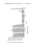 ANTIBODIES AGAINST HGF - RECEPTOR AND USES diagram and image