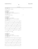 ANTIBODIES AGAINST HGF - RECEPTOR AND USES diagram and image