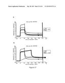 ANTIBODIES AGAINST HGF - RECEPTOR AND USES diagram and image